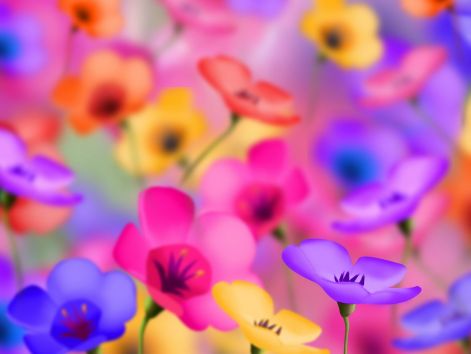 beautiful-flowers-hd-wallpaper2.jpg